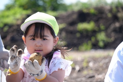 写真